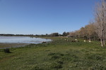 El Roc&iacute;o