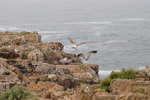 Sagres