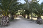 Santu&aacute;rio de Cristo Rei