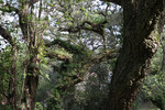 Parque de Monserrate