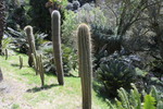 Parque de Monserrate