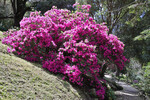 Parque de Monserrate