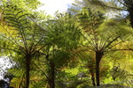 Parque de Monserrate