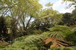 Parque de Monserrate