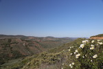 bei Caceres