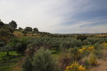 bei Valverde del Fresno