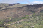 Serra da Estrela