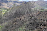 Serra da Estrela
