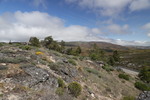 Serra da Estrela