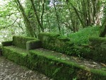 Mata Nacional do Bussaco