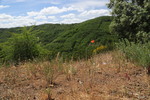 bei Vinhais
