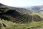 Miradouro da Cumieira