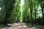 Jardim da Funda&ccedil;&atilde;o Serralves