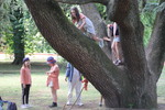 Jardim da Funda&ccedil;&atilde;o Serralves