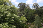 Wipfelwanderweg