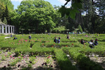 Jardim da Funda&ccedil;&atilde;o Serralves