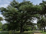 Jardines da Toxa