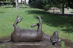 Jardines da Toxa