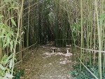 Les Jardins d'eau