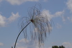 Les Jardins d'eau