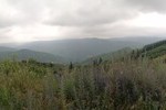 Gorges du Jonte