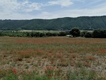 bei Oraison
