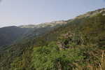 Col de la Faucille