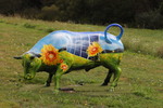 Cow Parade