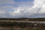 Salines de Gu&eacute;rande