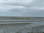 Passage du Gois