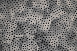 Yayoi Kusama