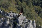 Gorges du Verdon