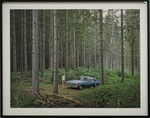 Gregory Crewdson