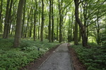 Skulpturenpark Waldfrieden