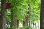 Bogomir Ecker - SWOP