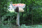 Carsten Höller - Giant Triple Mushroom