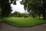 Arboretrum