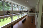 Ausstellung