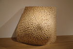 Jeroen Meijs - Torso
