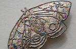 Kiki Smith - Verwobene Welten