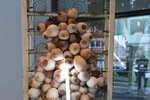 Sarah Lucas - Sense of Human