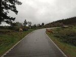 auf dem Weg vom Mirador do Cruceiro