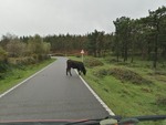 auf dem Weg vom Mirador do Cruceiro