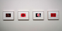 Hilma af Klint - On the Viewing of Flowers and Trees