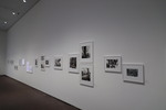 Lee Friedlander