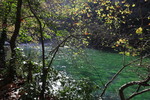 Sorgue