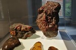 Deutsches Bernsteinmuseum
