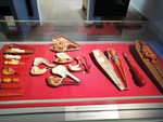 Deutsches Bernsteinmuseum