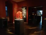 Deutsches Bernsteinmuseum