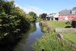 Ribe